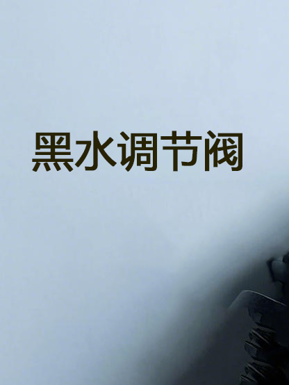 黑水調節(jié)閥  Black water regulating valve