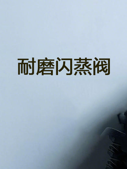 耐磨閃蒸閥  Wear resistant flash valve
