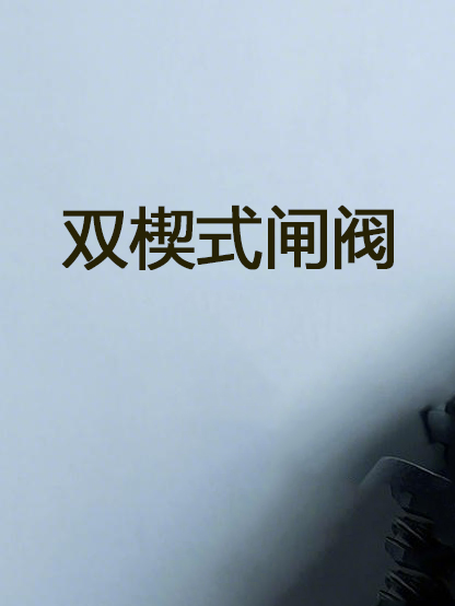雙楔式閘閥 Double wedge gate valve