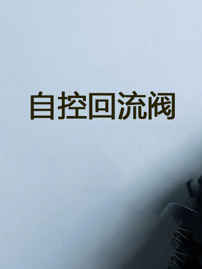 自控回流閥 Self controlled reflux valve